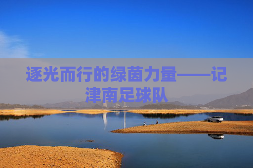 逐光而行的绿茵力量——记津南足球队