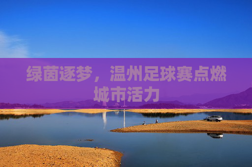 绿茵逐梦,温州足球赛点燃城市活力