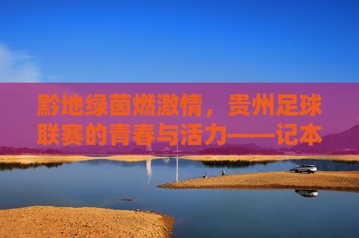 黔地绿茵燃激情，贵州足球联赛的青春与活力——记本土足球联赛的蓬勃发展