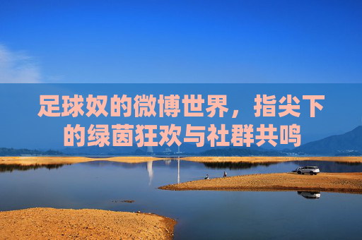 足球奴的微博世界,指尖下的绿茵狂欢与社群共鸣