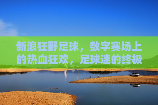 新浪狂野足球,数字赛场上的热血狂欢,足球迷的终极数字盛宴,新浪狂野足球,数字赛场上的热血狂欢,足球迷的终极数字盛宴