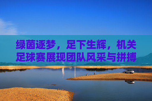 绿茵逐梦,足下生辉,机关足球赛展现团队风采与拼搏精神,绿茵逐梦,足下生辉,机关足球赛展现团队风采与拼搏精神