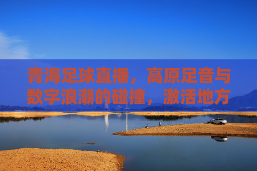 青海足球直播,高原足音与数字浪潮的碰撞,激活地方足球新活力