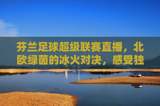 芬兰足球超级联赛直播，北欧绿茵的冰火对决，感受独特足球文化魅力