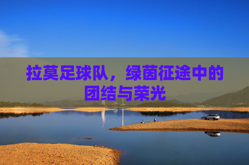 拉莫足球队，绿茵征途中的团结与荣光