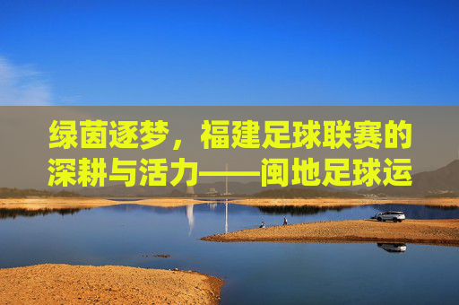 绿茵逐梦,福建足球联赛的深耕与活力——闽地足球运动的传承与新生