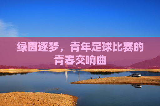绿茵逐梦，青年足球比赛的青春交响曲