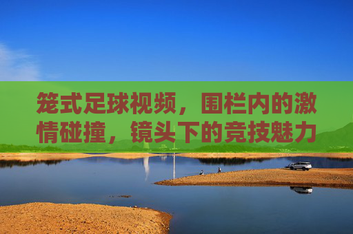 笼式足球视频,围栏内的激情碰撞,镜头下的竞技魅力,笼式足球,围栏内的激情碰撞与竞技魅力