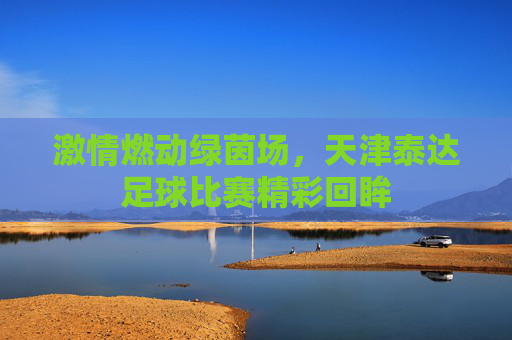 激情燃动绿茵场，天津泰达足球比赛精彩回眸