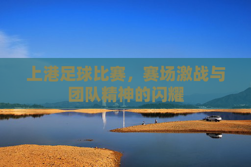 上港足球比赛,赛场激战与团队精神的闪耀