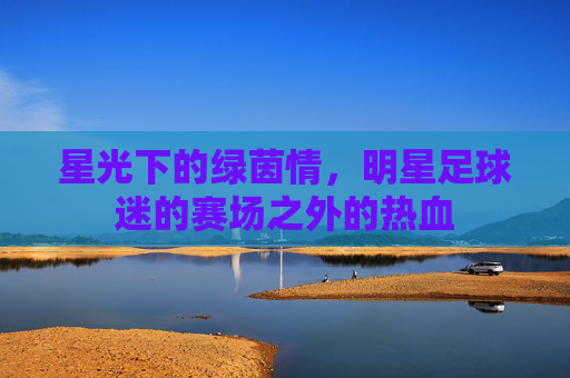 星光下的绿茵情,明星足球迷的赛场之外的热血