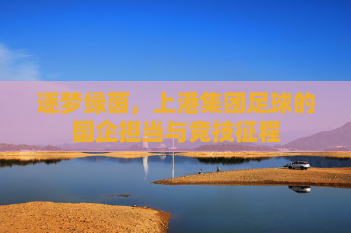 逐梦绿茵,上港集团足球的国企担当与竞技征程