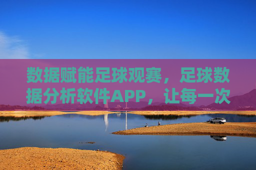 数据赋能足球观赛,足球数据分析软件APP,让每一次看球都懂得深入,数据赋能足球观赛,足球数据分析软件APP,让每一次看球都更懂深入