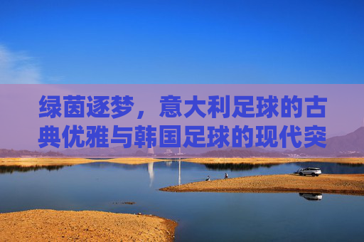 绿茵逐梦，意大利足球的古典优雅与韩国足球的现代突围