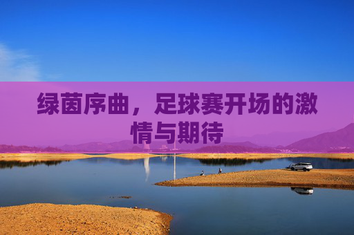 绿茵序曲,足球赛开场的激情与期待