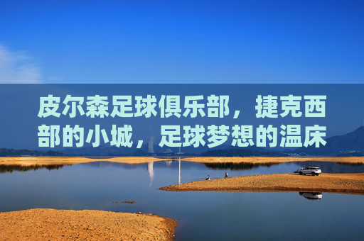 皮尔森足球俱乐部，捷克西部的小城，足球梦想的温床与荣耀之地