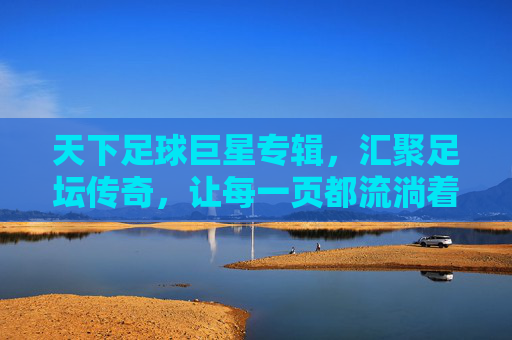 天下足球巨星专辑,汇聚足坛传奇,让每一页都流淌着热血与荣耀