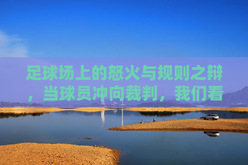 足球场上的怒火与规则之辩,当球员冲向裁判,我们看到了什么?