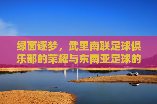 绿茵逐梦,武里南联足球俱乐部的荣耀与东南亚足球的璀璨名片