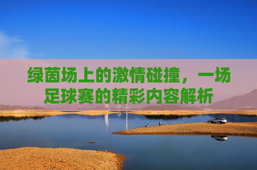 绿茵场上的激情碰撞,一场足球赛的精彩内容解析