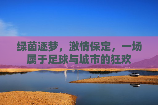 绿茵逐梦,激情保定,一场属于足球与城市的狂欢