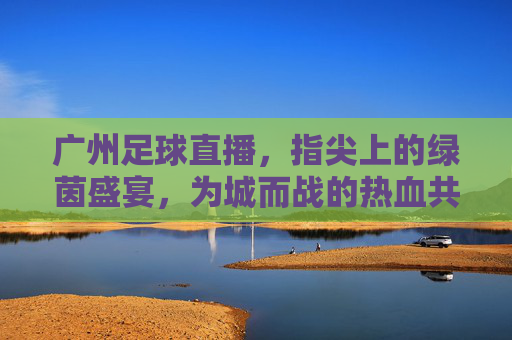 广州足球直播,指尖上的绿茵盛宴,为城而战的热血共鸣
