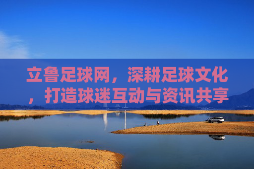 立鲁足球网,深耕足球文化,打造球迷互动与资讯共享的数字平台,立鲁足球网,深耕足球文化,打造球迷互动与资讯共享的数字平台