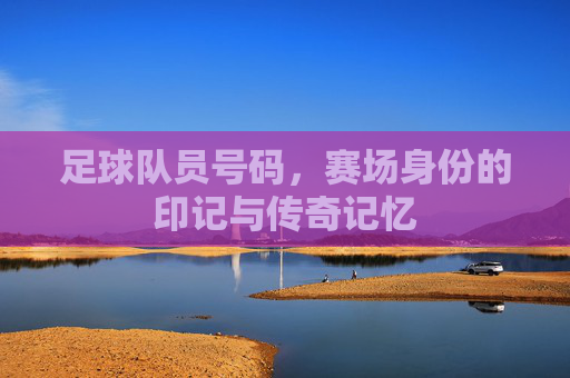 足球队员号码，赛场身份的印记与传奇记忆