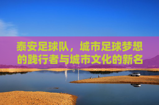 泰安足球队,城市足球梦想的践行者与城市文化的新名片