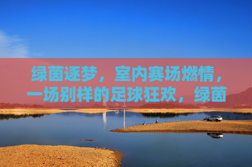 绿茵逐梦，室内赛场燃情，一场别样的足球狂欢，绿茵逐梦，室内赛场燃情，一场别样的足球狂欢
