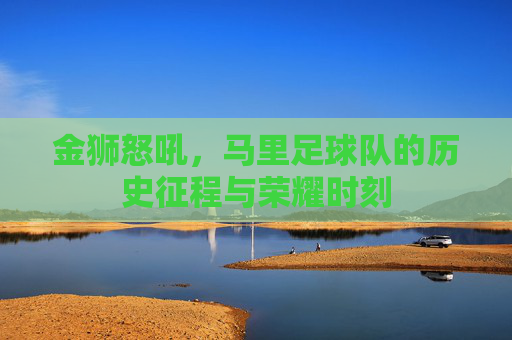 金狮怒吼,马里足球队的历史征程与荣耀时刻