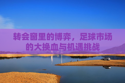 转会窗里的博弈,足球市场的大换血与机遇挑战