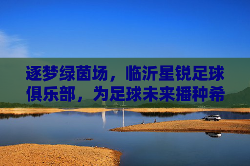 逐梦绿茵场,临沂星锐足球俱乐部,为足球未来播种希望,逐梦绿茵场,临沂星锐足球俱乐部,为足球未来播种希望