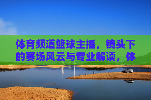 体育频道篮球主播，镜头下的赛场风云与专业解读，体育频道篮球主播，赛场风云与专业解读