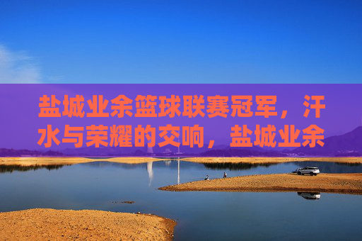 盐城业余篮球联赛冠军，汗水与荣耀的交响，盐城业余篮球联赛冠军，汗水与荣耀的交响