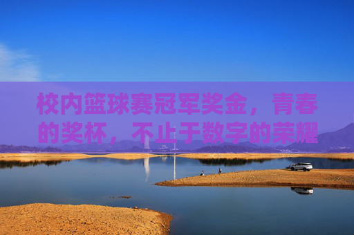 校内篮球赛冠军奖金，青春的奖杯，不止于数字的荣耀，校内篮球赛冠军奖金，青春的奖杯，不止于数字的荣耀
