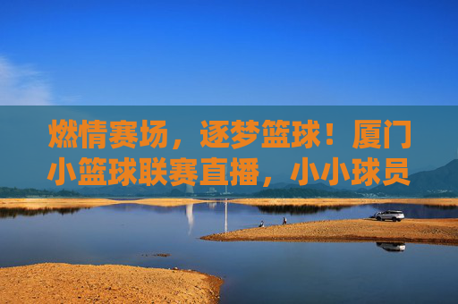 燃情赛场，逐梦篮球！厦门小篮球联赛直播，小小球员的青春活力与拼搏精神闪耀荧屏，燃情赛场，逐梦篮球！厦门小篮球联赛直播，小小球员的青春活力与拼搏精神闪耀荧屏