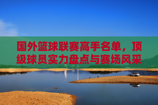 国外篮球联赛高手名单,顶级球员实力盘点与赛场风采,国外篮球联赛顶级高手名单,实力盘点与赛场风采