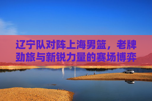 辽宁队对阵上海男篮，老牌劲旅与新锐力量的赛场博弈，辽宁队对阵上海男篮，老牌劲旅与新锐力量的赛场博弈