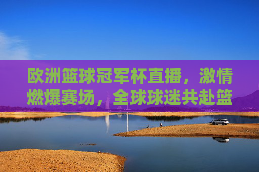 欧洲篮球冠军杯直播,激情燃爆赛场,全球球迷共赴篮球盛宴