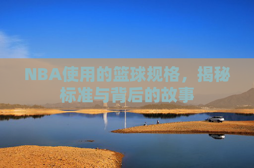 NBA使用的篮球规格，揭秘标准与背后的故事
