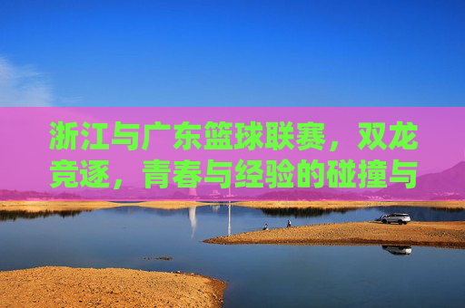 浙江与广东篮球联赛，双龙竞逐，青春与经验的碰撞与融合，浙江与广东篮球联赛，双龙竞逐，青春与经验碰撞融合