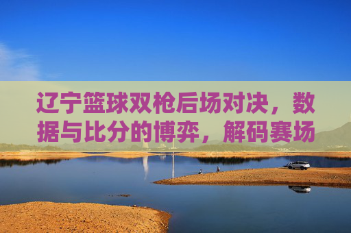 辽宁篮球双枪后场对决,数据与比分的博弈,解码赛场胜负密码