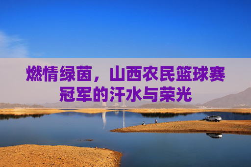 燃情绿茵,山西农民篮球赛冠军的汗水与荣光