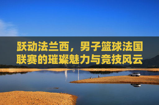 跃动法兰西,男子篮球法国联赛的璀璨魅力与竞技风云