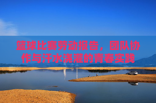 篮球比赛劳动报告，团队协作与汗水浇灌的青春实践