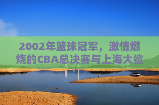 2002年篮球冠军,激情燃烧的CBA总决赛与上海大鲨鱼队的历史性夺冠