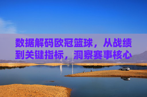 数据解码欧冠篮球,从战绩到关键指标,洞察赛事核心逻辑