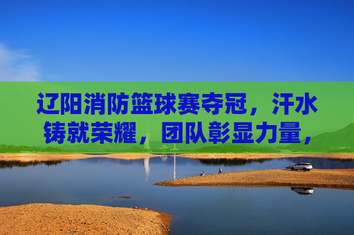辽阳消防篮球赛夺冠，汗水铸就荣耀，团队彰显力量，辽阳消防篮球赛夺冠，汗水铸就荣耀，团队彰显力量