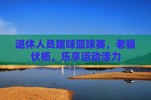 退休人员趣味篮球赛，老骥伏枥，乐享运动活力
